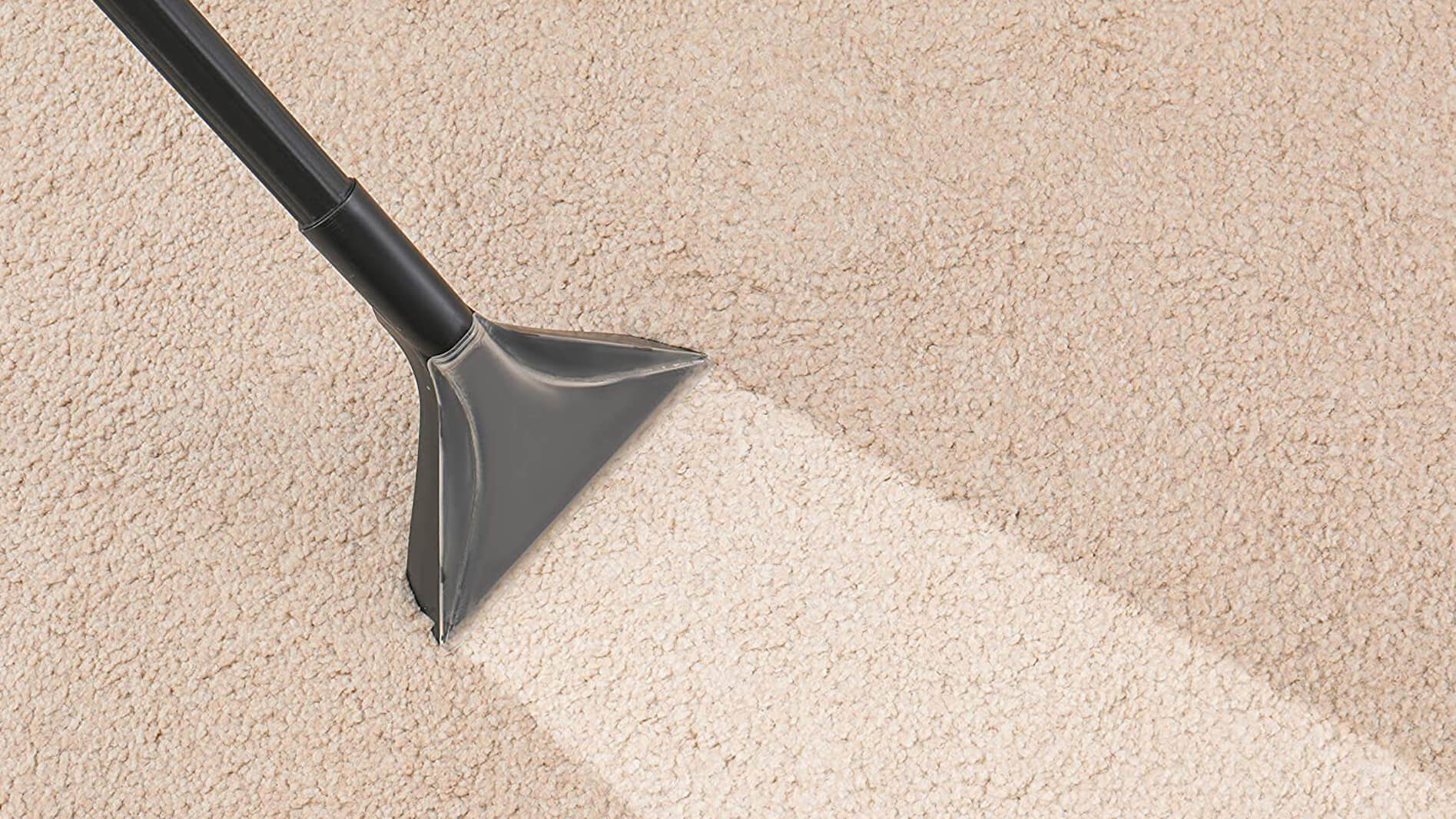 Carpet Urine Stain Removal Prospect