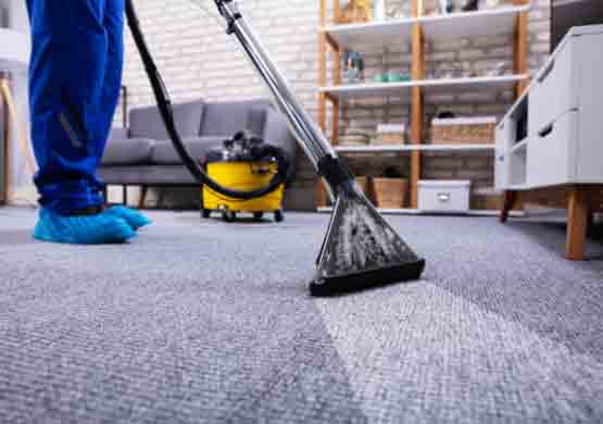 Professional Carpet Cleaning Prospect
